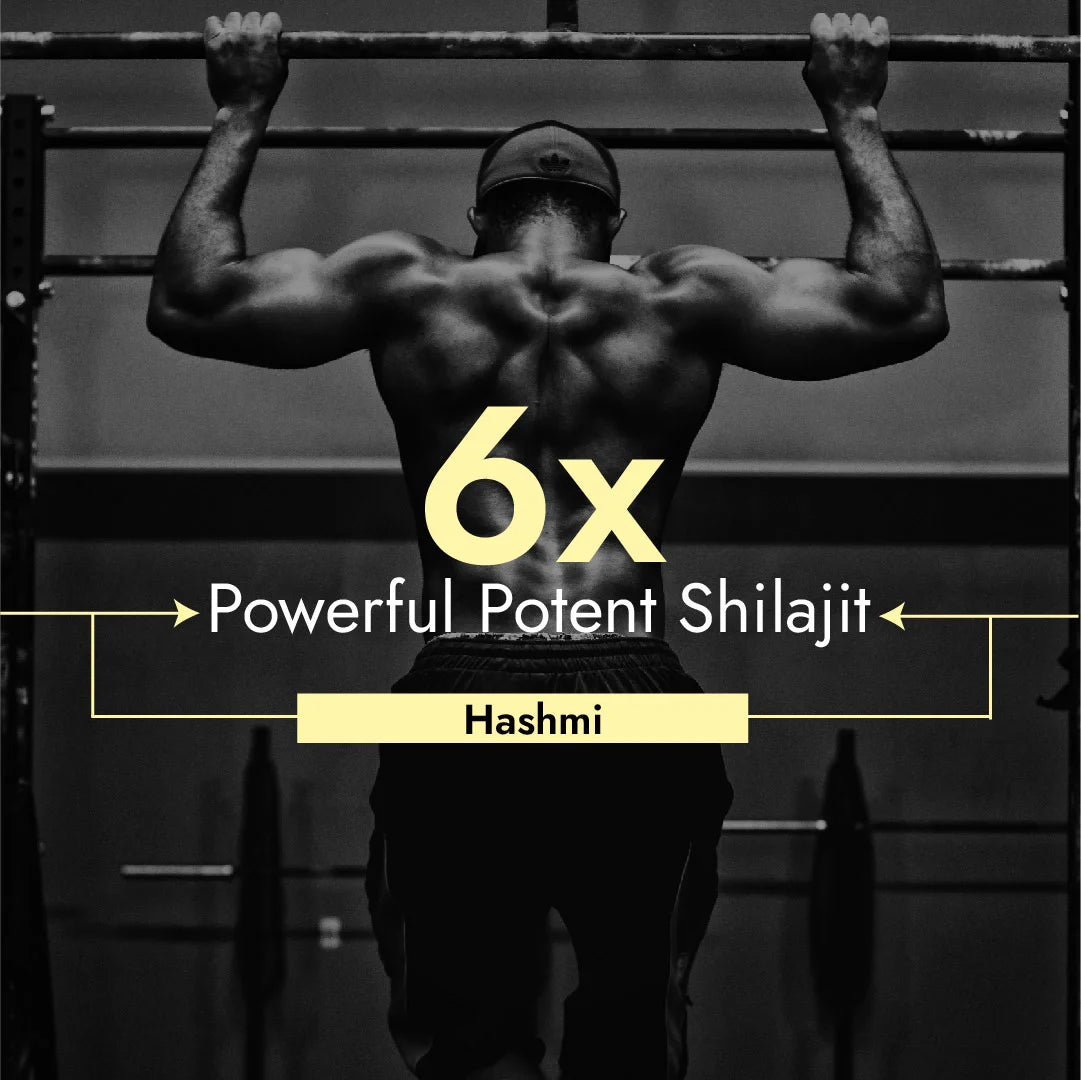 Hashmi Sikander E Azam Pure Himalayan Shilajit Resin, 10g
