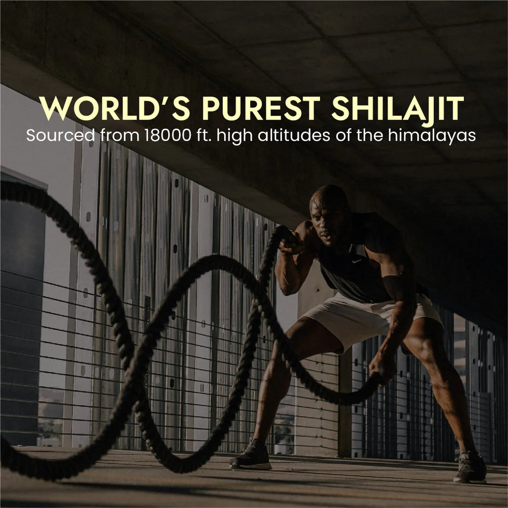 Sikander E Azam Pure Himalayan Shilajit Resin, 10g