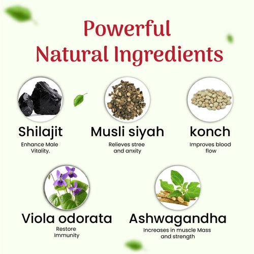 Ayurvedic Wellness Support Capsules