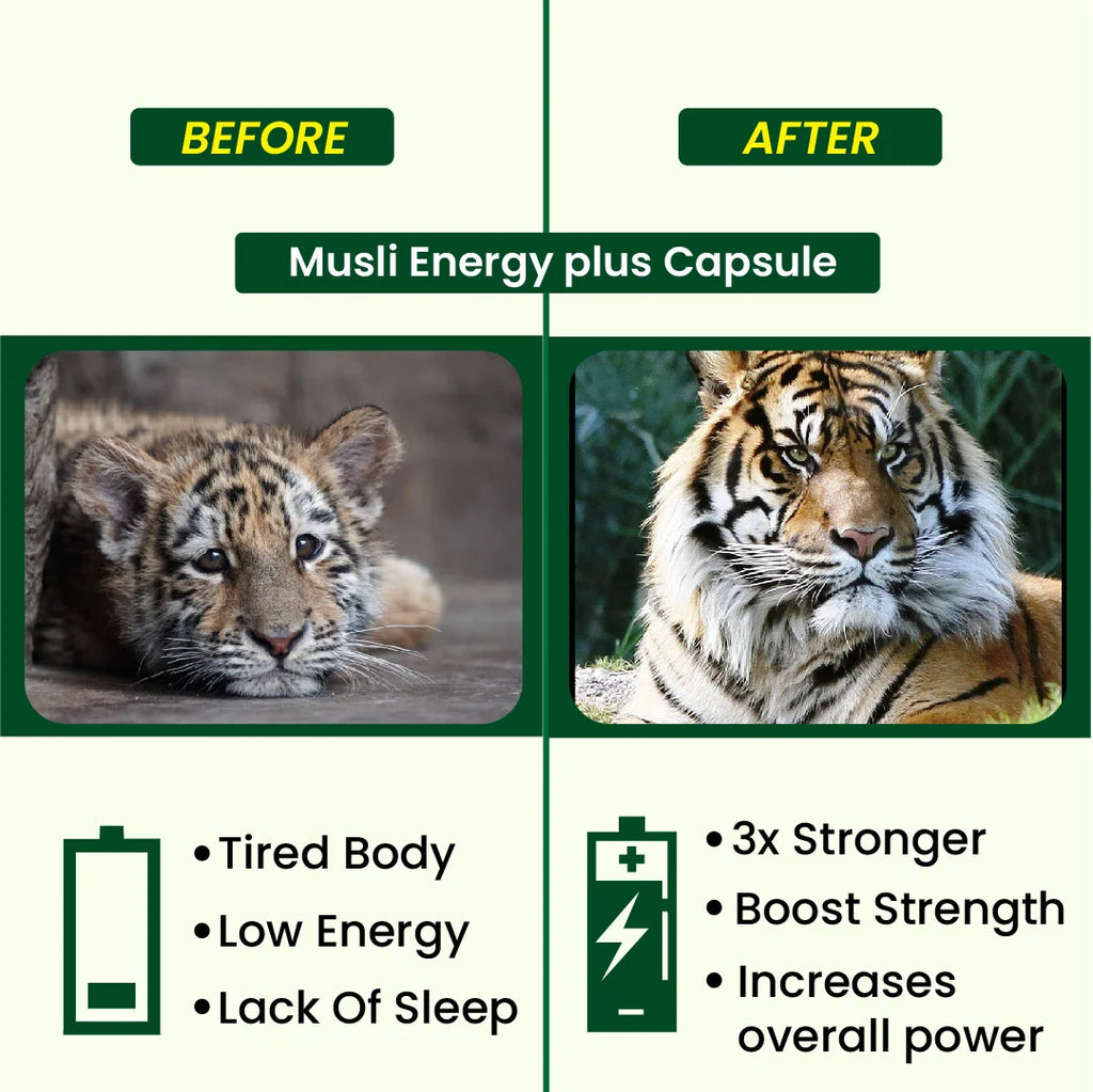 Musli Energy Plus Capsule | Ayurvedic Medicine – For Stamina, Muscle Growth, Immunity & Overall Wellbeing