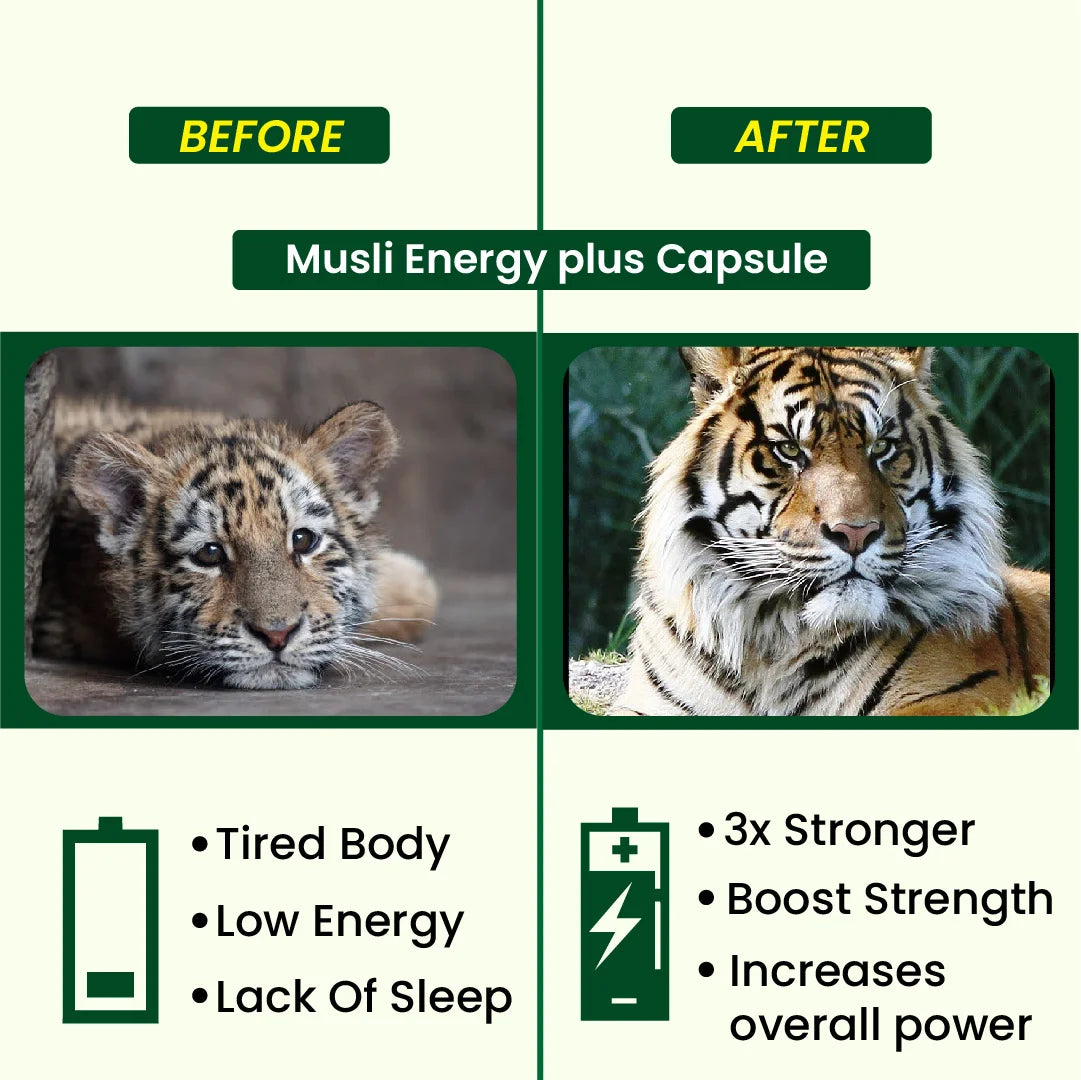 Musli Energy Plus Capsule | Ayurvedic Medicine – For Stamina, Muscle Growth, Immunity & Overall Wellbeing