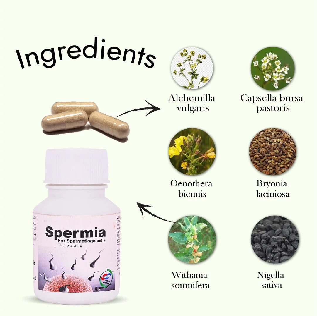 Hashmi Spermia Capsule | Herbal Men's Wellness Supplement