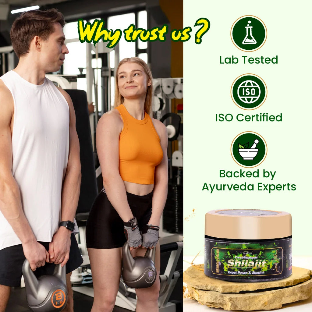 Sikander E Azam Pure Himalayan Shilajit Resin, 10g