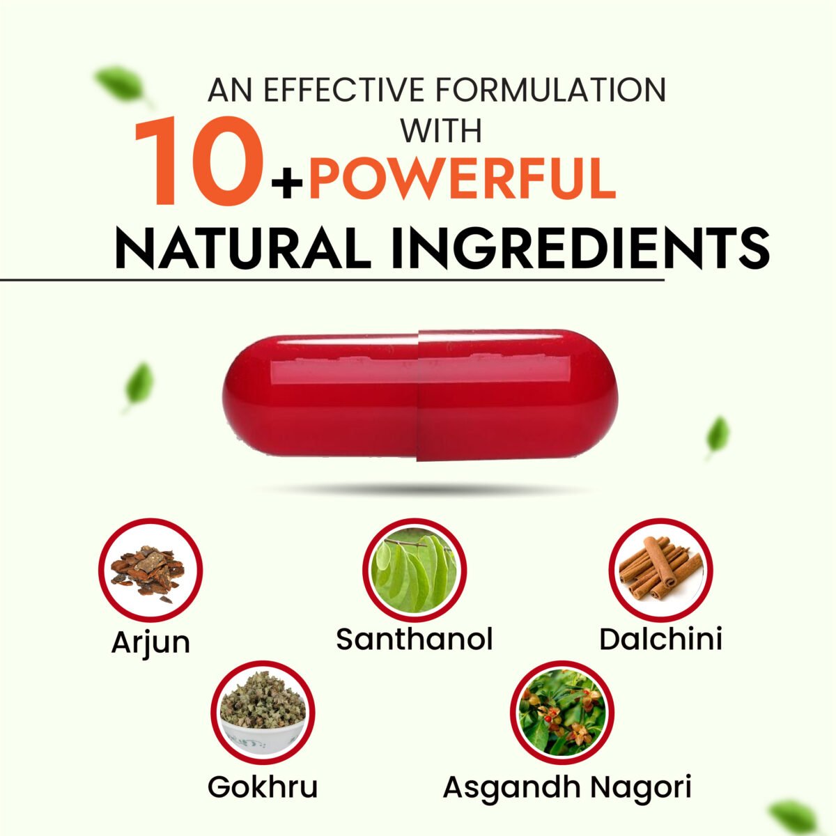 Hard Rock Capsule (20 Capsules)