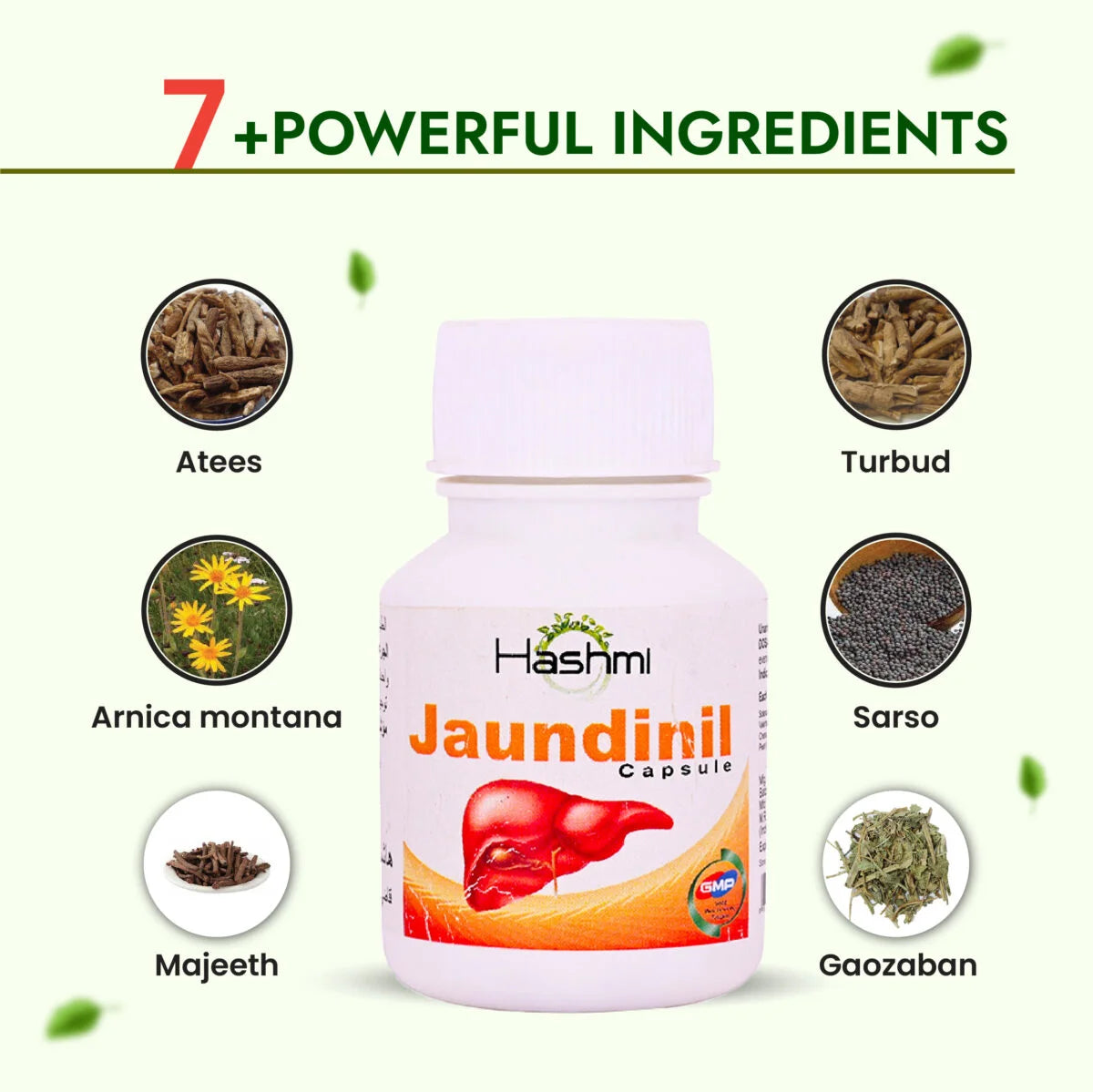 Hashmi Jaundinil Capsule (20 Capsule)