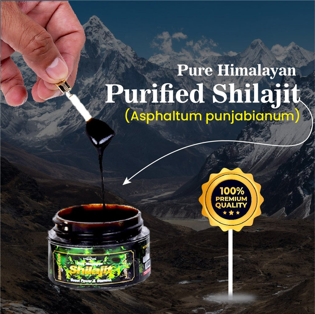 Sikander E Azam Pure Himalayan Shilajit Resin, 10g